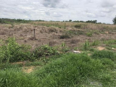 Bán đất mặt tiền đường thôn Tam Hiệp Cần Giờ chính chủ