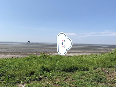 Bán đất đường Tam Thôn Hiệp huyện Cần Giờ chính chủ