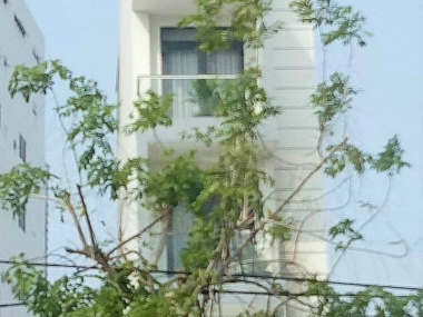 Bán nhà mặt tiền 3 lầu Huỳnh Tấn Phát Quận 7