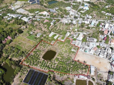 Bán biệt thự đường Đào Cử huyện Cần Giờ, LH 0913999003