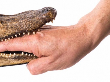 Hướng dẫn chi tiết cách đăng tin bán nhà miễn phí