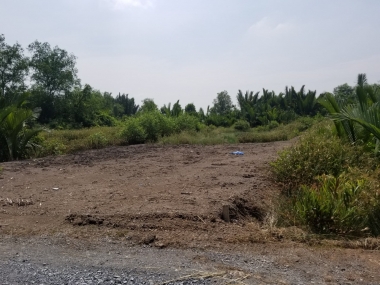 Bán đất mặt tiền đường Tam Thôn Hiệp Cần Giờ