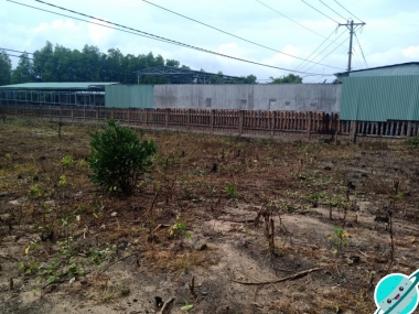 Bán đất đường ven biển xã Bình Châu huyện Xuyên Mộc