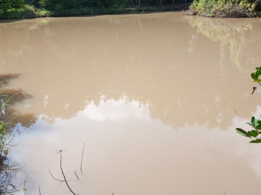 Chính Chủ Cần bán gấp đất tại: Tỉnh Bình Dương