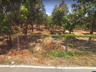 Bán đất MT đường Duyên Hải Cần Giờ chính chủ