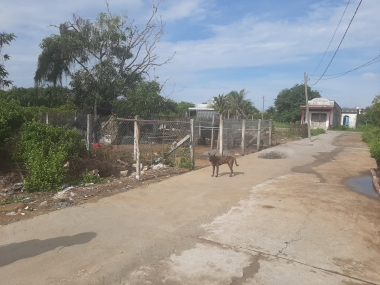 Bán đất hẻm đường Duyên Hải Cần Giờ giá rẻ