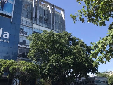 Cho thuê VP-CTIN Building- Hoàng Văn Thụ,Q.Tân Bình, TP.HCM giá ưu đãi mùa Covid