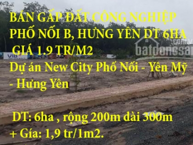 BÁN GẤP ĐẤT CÔNG NGHIỆP PHỐ NỐI B, HƯNG YÊN DT 6HA GIÁ 1.9 TR/M2