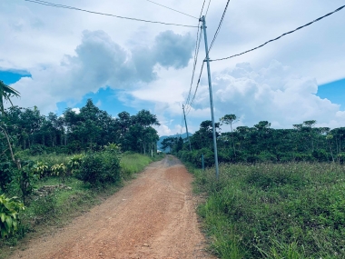 Đất 3666m2 hẻm Trương Định Xã Lộc Châu TP Bảo Lộc T lâm Đồng