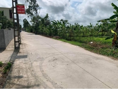 Cần tiền bán gấp lô đất thuộc Trình Nhất Đông, xã An Ninh, huyện Tiền Hải, Thái Bình