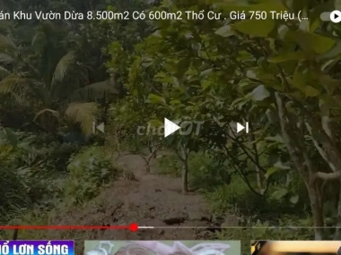 Cần bán Đất mặt tiền. Nhà cấp 4. Rộng rãi. Hoa quả nhiều.