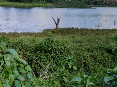 Đất nghỉ dưởng , Wiew hồ thoáng mát rộng rải