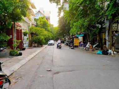 Bán nhà phố Tạ Quang Bửu, Hai Bà Trưng, 56m2, MT5m, kinh doanh tốt.