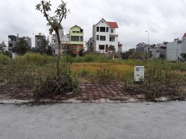 Tôi có 50m2 đất tại Trâu Quỳ, Gia Lâm, Hà Nội cần bán, đường ô tô thoải mái. Lh 0989894845.