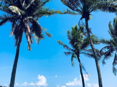 Bán 7 lô đất nền thổ cư Bắc Vân Phong, Khánh Hòa 220m2 /lô ven biển GIÁ TỐT CHÍNH CHỦ