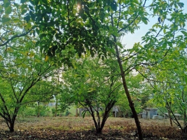 Bán 2000m2 đất nền #Mộc_Châu khai thác du lịch sinh thái