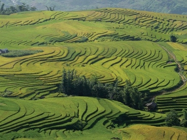 Bán đất tặng nhà ở khu săn mây đẹp nhất SaPa 2 Y Tý