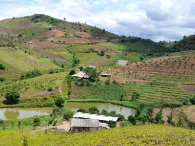 Lô đất hơn 10ha bằng phẳng, có sẵn vườn cây và trang trại bò nhỏ, rất phù hợp làm farm