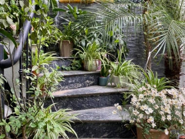 Bán nhà - Apartment - Tây Hồ