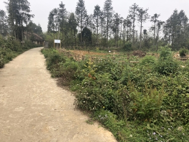 Đất nền Sapa bán cắt lỗ sau Covid