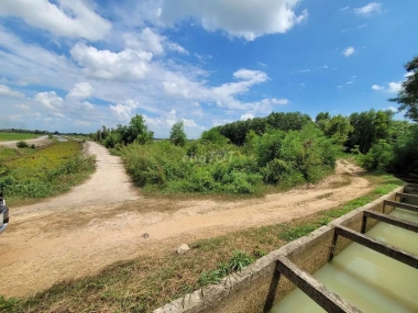 Chính chủ cần bán Đất Mặt Hẻm Đường Tam Tân Xã Thái Mỹ Huyện Củ Chi, Tp Hồ Chí Minh