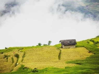 Bán nhanh mảnh đất gàn điểm săn mây, gần sân golf.giá rẻ