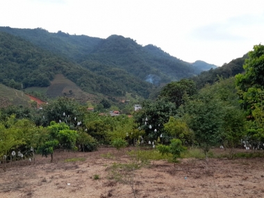 Bán lô đất rộng, gần ngay Thác Dải Yếm - Mộc Châu, rất phù hợp làm nghỉ dưỡng