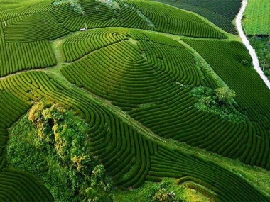 Bán đất xây homestay ở khu du lịch bốn mua Mộc Châu Sơn La