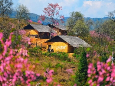 CHÍNH CHỦ - Bán lô đất VIEW đẹp nhất Y Tý - 2800m Trung Chải - Y Tý - Lào Cai