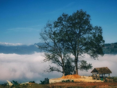 Đầu tư mảnh đất 400m2 Choản Thèn - Y Tý( Sapa2) - Lào Cai -  GIÁ RẺ