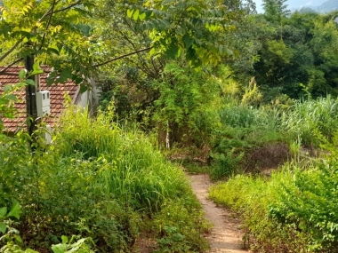 Mảnh đất siêu đẹp mặt QL43 đường đi loong sập tại Mộc Châu giá ưu đãi