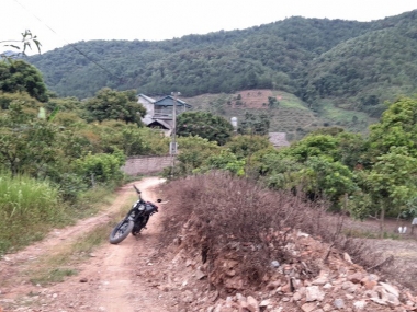 3000m2 Thái Hưng - Mộc Châu. Cần bán