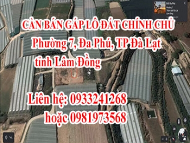 CẦN BÁN GẤP LÔ ĐẤT CHÍNH CHỦ phường 7, Đa Phú, TP Đà Lạt, tỉnh Lâm Đồng