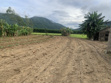 Chính chủ cần bán lô đất tại Thôn 1 - xã Cổ Đạm - Huyện Nghi Xuân - Hà Tĩnh.