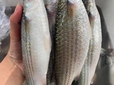 HẢI SẢN CÔ BA CÀ MAU - Cung Cấp Hải Sản Giá Tốt Nhất Tại HCM.