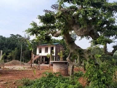 Cần bán gấp đất diện tích 1780,2 m2 sổ đỏ+cả đất ruộng ao tổng diện tích đất là 5000m số đỏ chính ch