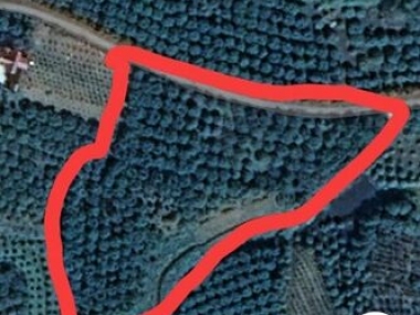 CHÍNH CHỦ CẦN BÁN MẢNH ĐẤT TẠI MỸ AN –LỤC NGẠN – BẮC GIANG .