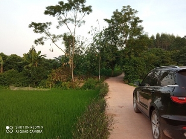 Cần ra đi 2 lô đất tại Lạng Giang - Bắc Giang.