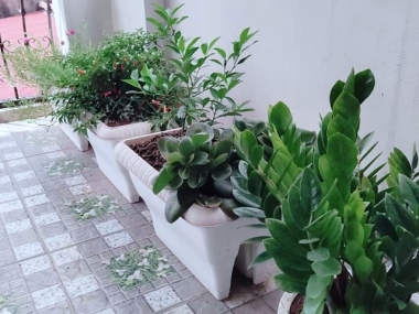 Bán nhà Phạm Ngọc Thạch, SỔ NỞ HẬU, THOÁNG, 50m2, 4.1 tỷ