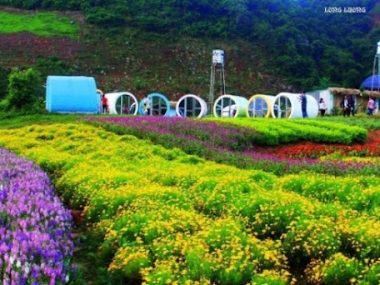 ÁN MẢNH ĐẤT BẢN BÃI SẬY MỘC CHÂU VÔ CÙNG ĐẸP ,GIÁ ĐẦU TƯ