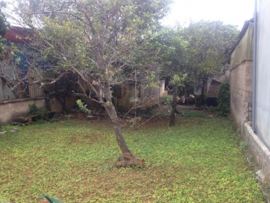 Bán mảnh đất TK 32 thị trấn nông trường mộc châu vô cùng đẹp giá covid