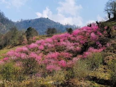 Cần bán cắt lỗ mảnh đất thôn Phìn Hồ,Y Tý, Bát Xát, Lào Cai