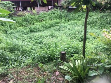 Bán 500m2 Mộc Châu gần QL43 đón đầu quy hoạch cao tốc Hoà Bình-Sơn La