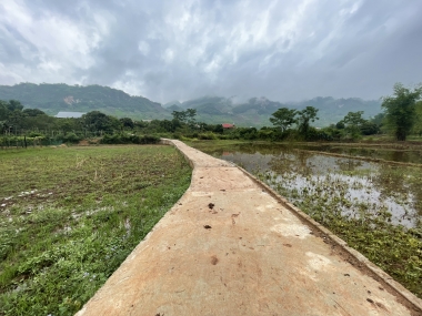 CC cần tiền gấp bán nhanh mảnh đất bản vặt mường sang,giá rẻ