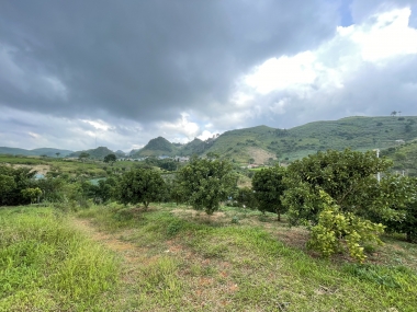 Bán đất Mộc Châu, đất Thị Trân Nông trường Mộc Châu, 6800m2, có bìa thổ cư, giá rẻ chỉ hơn 700k/m2.