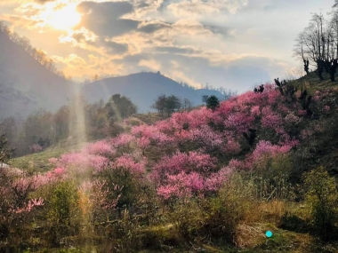 Cần bán rẻ mảnh đất rộng thôn Trung Chải, Y Tý, Bát Xát, Lào Cai