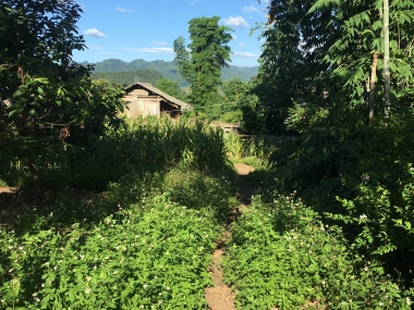 2000m2 bán đất #Mộc_Châu khai thác du lịch sinh thái