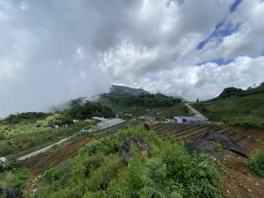 Đất nền Sapa bán cắt lỗ mùa Covid, view siêu đẹp