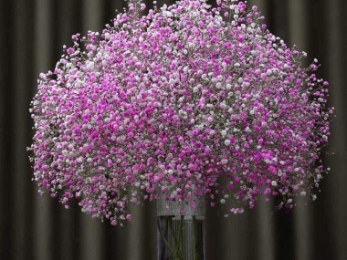 Bán nhà - Mặt Phố Đốc Ngữ - Ba Đình