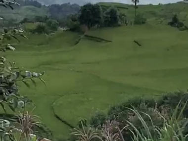 Thôn săn mây tuyệt đẹp Y Tý, bán 4000m2, giá chỉ 800k/m2, Y Tý - Sapa 2.